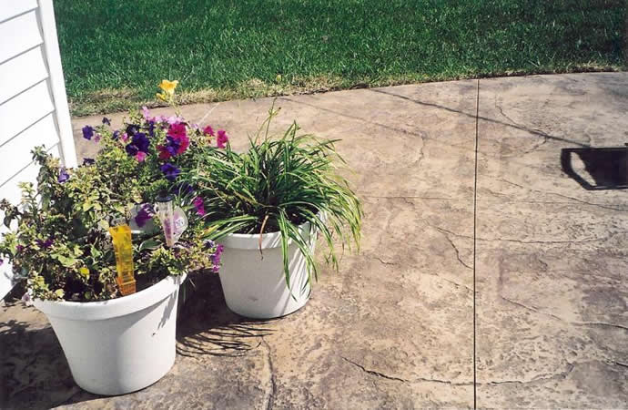 custom pools and spas by greencare.net